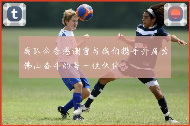 离队公告感谢曾与我们携手并肩为佛山奋斗的每一位伙伴