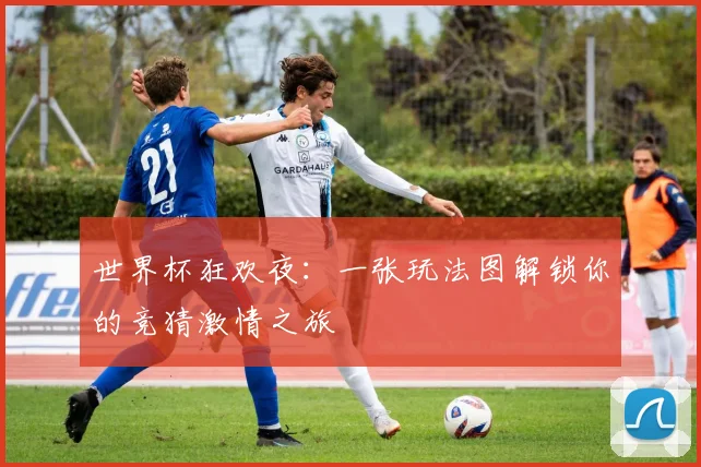 世界杯狂欢夜：一张玩法图解锁你的竞猜激情之旅