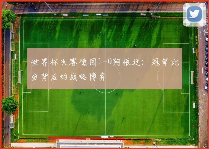 世界杯决赛德国1-0阿根廷：冠军比分背后的战略博弈
