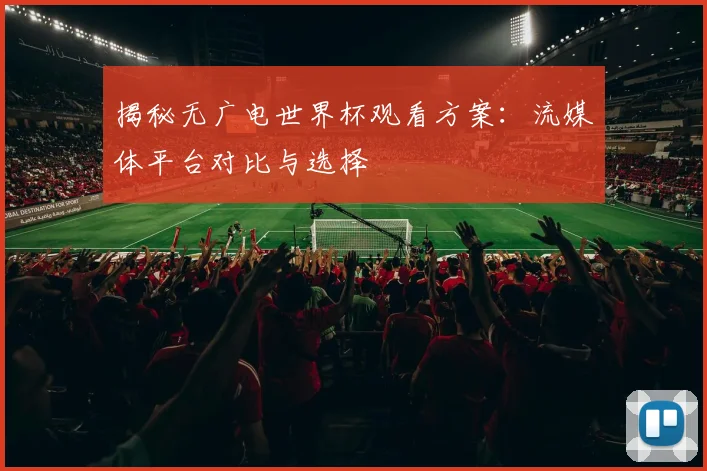 揭秘无广电世界杯观看方案：流媒体平台对比与选择