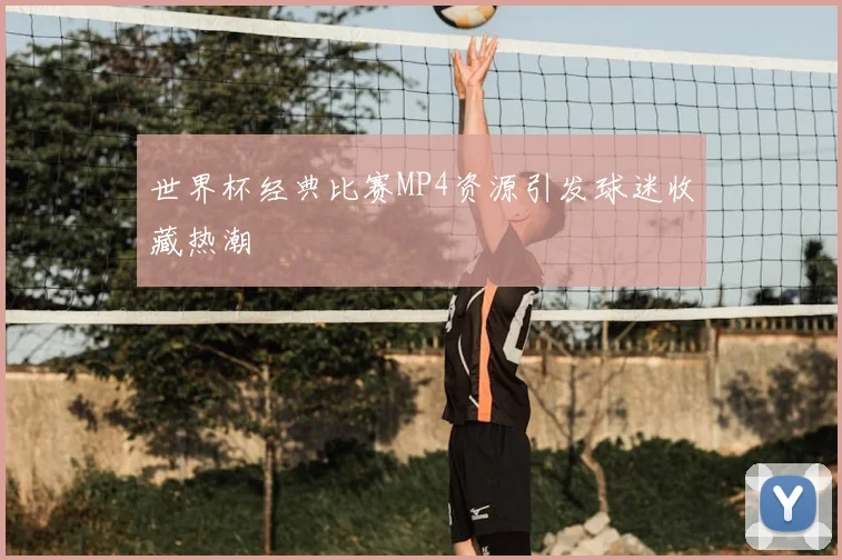 世界杯经典比赛MP4资源引发球迷收藏热潮