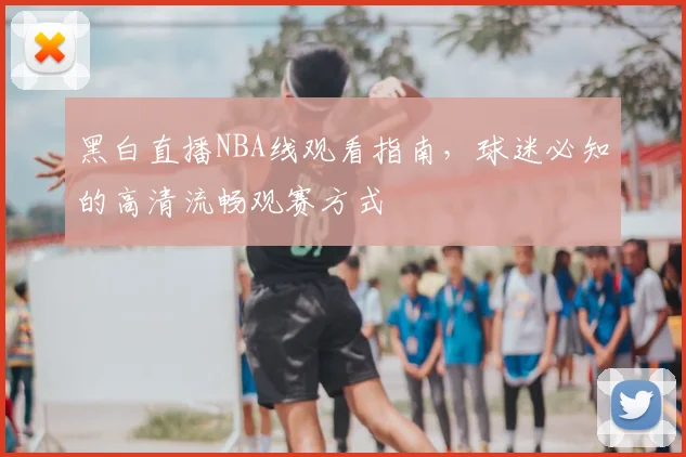 黑白直播NBA线观看指南，球迷必知的高清流畅观赛方式