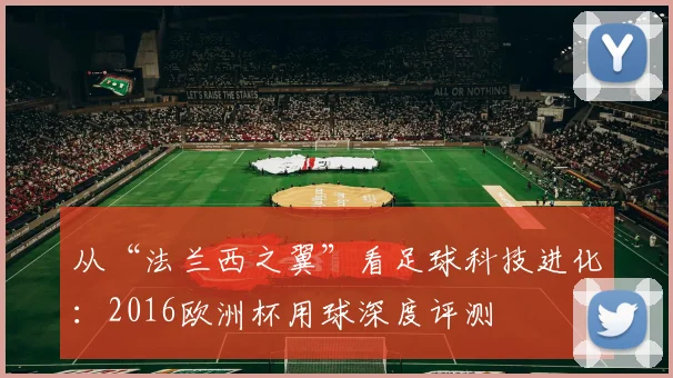 从“法兰西之翼”看足球科技进化：2016欧洲杯用球深度评测