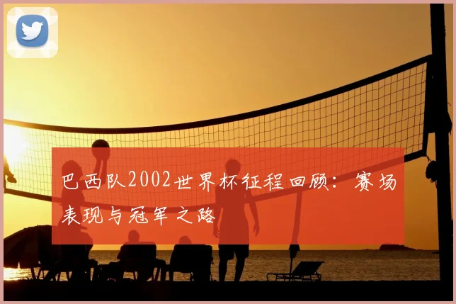 巴西队2002世界杯征程回顾：赛场表现与冠军之路