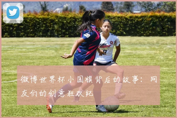 微博世界杯小国旗背后的故事：网友们的创意狂欢纪