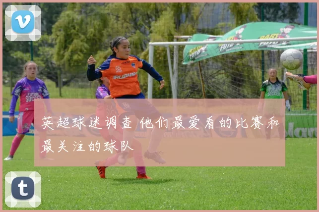 英超球迷调查 他们最爱看的比赛和最关注的球队