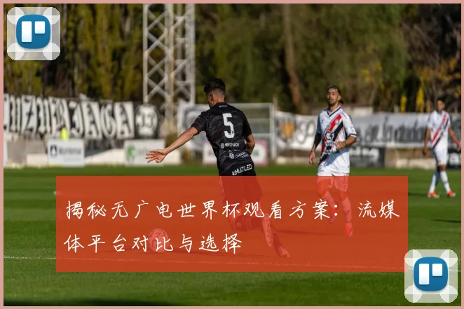 揭秘无广电世界杯观看方案:流媒体平台对比与选择
